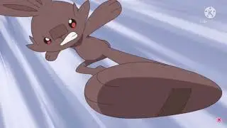 Scorbunny, Raboot, & Cinderace AMV - Run