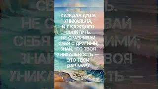 ВОЛШЕБНИК КАЖДЫЙ ДЕНЬ