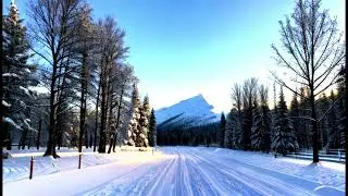 Yan music - This is now