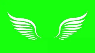 Green Screen Asa branca