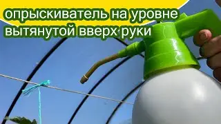 Опрыскивание для завязи в жару