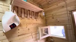 5 ноября 2024 г.