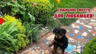Спальное место для любимчиков, оригинальное решение!