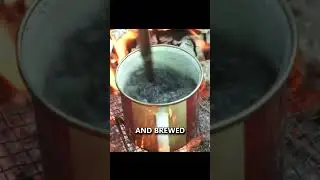 4 Wild Plants You Can Make Coffee From! Camp Cooking #survival #camping #bushcraft #shorts