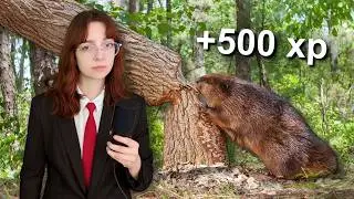 I Made A Roguelike Game About Beavers