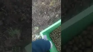 #картоха #сажать#копать  #работа #рабочийдень #вайб #новости #трактор
