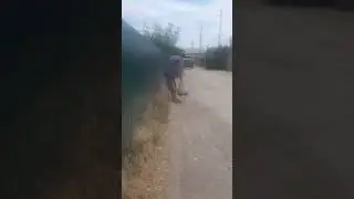 Вынос Мусора