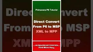 🔴 How to DIRECTLY Convert the Primavera P6 XER file to Microsoft Project MPP File? #p6  #planning