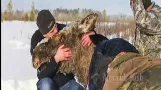 Человечность!!!Доброта!!!Стимуляция!!!Наша истинная природа!!!