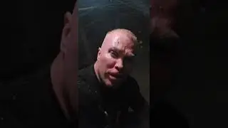 Шпак в подвале