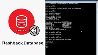 Restore Points and Flashback Database | Oracle DBA Tutorial