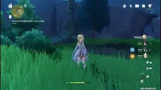 Genshin Impact Fatui Electro Cicin Mage Boss Fight