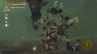 The Legend of Zelda: Breath of the Wild: Серебряный Левр