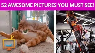52 AWESOME pictures that have came out of 2020