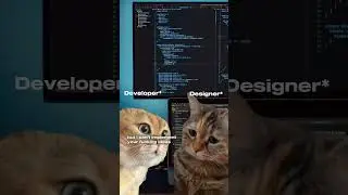 The sad life of programmers 