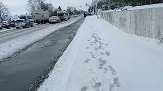 danmarkadan  bir kis gunu