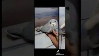 Малявочки, козявочки, молявочки мои😍😘🤗