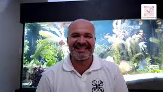 Insta360 Sphere - Segundas Impressões (Utilização para trabalho)