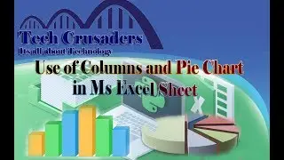 Columns and Pie Chart in Ms Excel