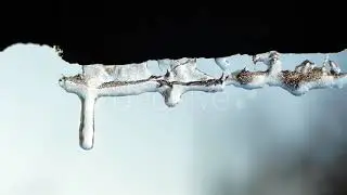 Icicles 5 | Stock Footage - Envato elements