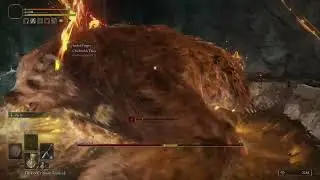 We beat up a bear!