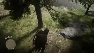 Bottle Race in RDR2