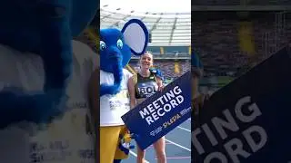 Women's 400mH, Silesia Diamond League 2024 #femkebol #silesia #trackandfield2024