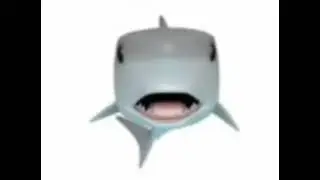 mysterious shark