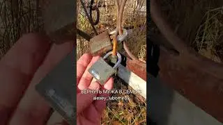 СОХРАНЕНИЕ СЕМЬИ