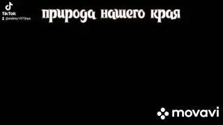 природа нашего края