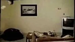 EL Gato Volador