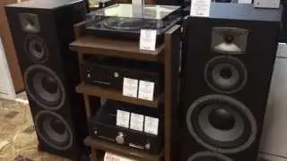 Напольная акустика Dynavoice и усилитель Xindak XA6200