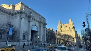 American Museum of Natural History!
