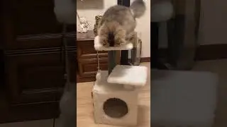 Взлетаем😂