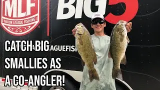 My Favorite Co-Angler Smallmouth Baits | Get MORE Bites!