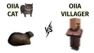 OIIA OIIA CAT vs OIIA MINECRAFT VILLAGER