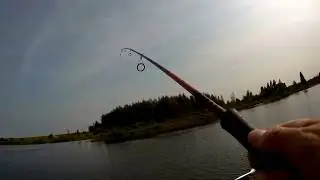 Было скучно,пока я не заплыл в ЖАБОВНИК.!