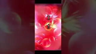 [D450] Deadeye sub-30 AUTO - lensable SBs only, Lv99 HC Main