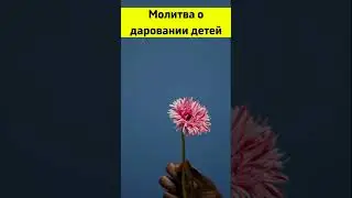 Молитва о даровании детей 