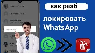 Как разблокировать, если кто-то заблокировал вас в WhatsApp (2024)