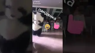 очень круто танцуют panda dans