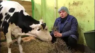 Студенты института ветеринарии, ветеринарно-санитарной экспертизы и агробезопасности
