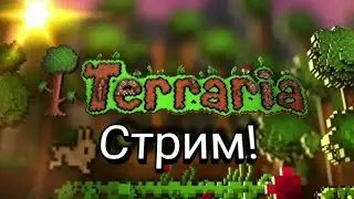 СТРИМ ПО ТЕРРАРИИ ЗА ВОЛШЕБНИКА