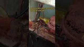 Kelvinator फ्रिज कूलिंग नहीं कर रहा है  | how to kelvinator fridge note cooling | how repair fridge