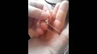 Цепочка и семена Бонсай