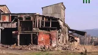 СОЛЕРУДНИК