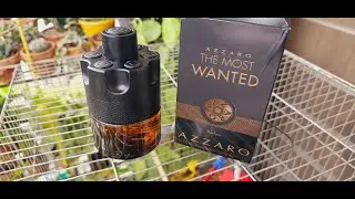 Azzaro The Most Wanted Parfum Fragrance (2022)