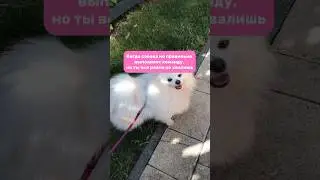 За то с самооценкой порядок 
