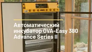Автоматический английский инкубатор Brinsea OVA-Easy 380 Advance Series II