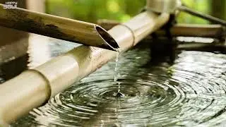 Relaxing Sound of Nature that heals stress, anxiety and negativity